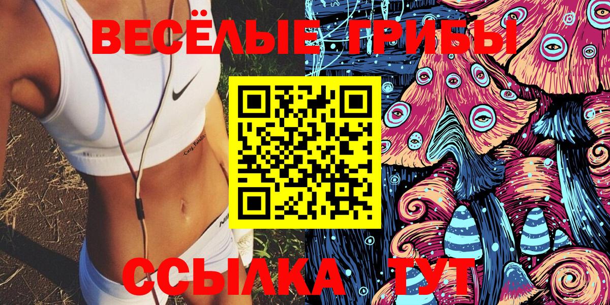 Псилоцибиновые грибы мицелий  Псилоцибиновые грибы Psilocybe  Калуга 